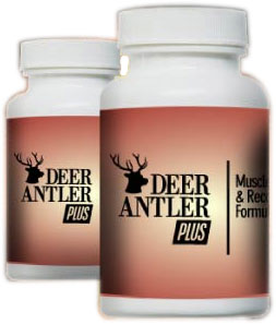 Deer-antler-plus
